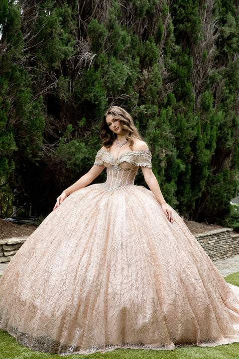 Bella Princess PQ1087 off shoulder corset ball gown by petite adele pq1087 — image 5.0