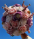 Quinceañera Bouquet in Blush Pink Lavender Ivory