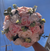 Quinceañera Bouquet in Blush Pink and Ivory