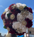 Quinceañera Bouquet in Burgundy and Ivory