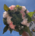 Quinceañera Bouquet in Sage Blush Pink and Ivory