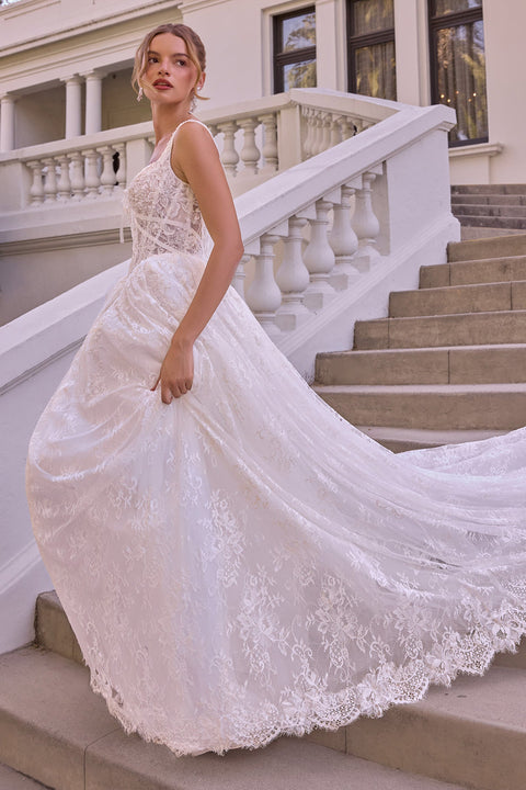 Ladivine WL073 lace sleeveless bridal gown — product view