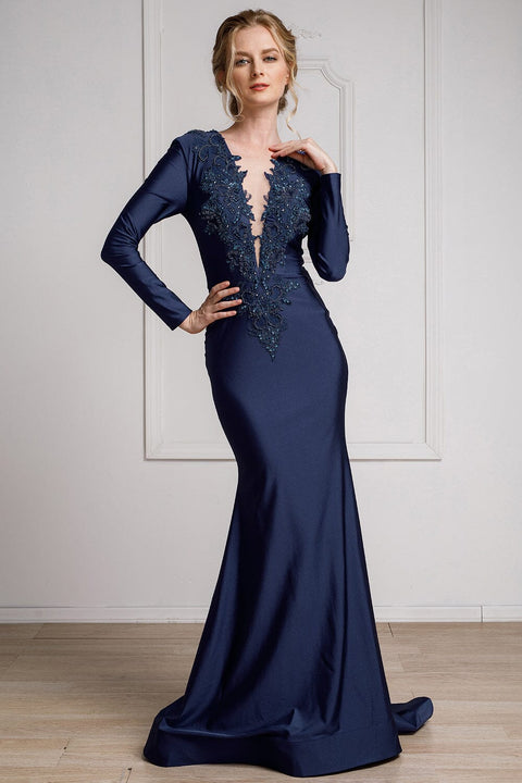 Amelia Couture 382 Elegant Lycra Gown with Appliqué and Long Sleeves