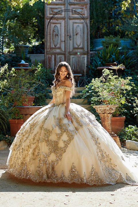 Bella Princess PQ1055 applique off shoulder corset ball gown by petite adele pq1055 — image 3.0