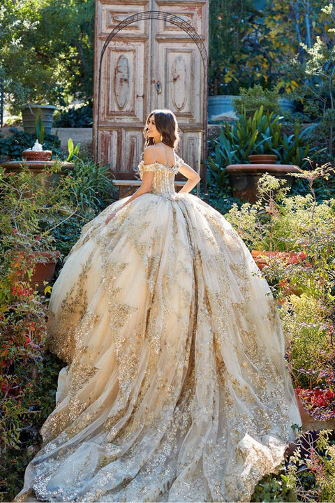 Bella Princess PQ1055 applique off shoulder corset ball gown by petite adele pq1055 — image 2.0