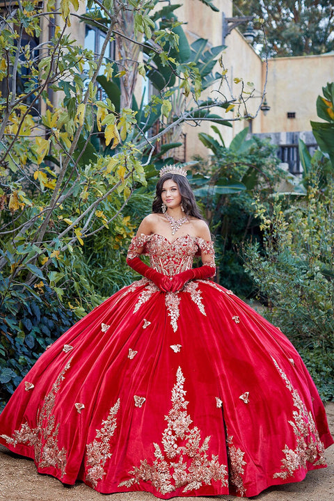 Bella Princess PQ1038 applique sweetheart velvet ball gown by petite adele pq1038 — image 4.0