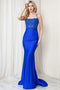 Amelia Couture TM1001 Sleeveless Gown with Beaded Appliqué