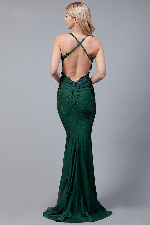 Amelia Couture TM1001 Sleeveless Gown with Beaded Appliqué
