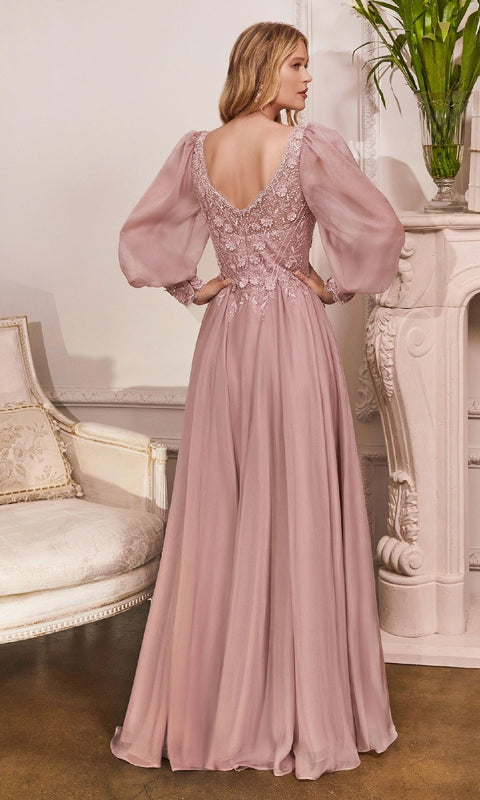 Ladivine CD0183 Long Formal Gown with Elegant Silhouette
