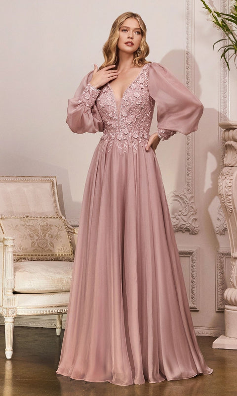 Ladivine CD0183 Long Formal Gown with Elegant Silhouette