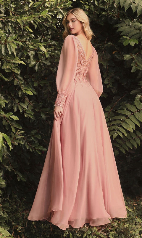 Ladivine CD0183 Long Formal Gown with Elegant Silhouette