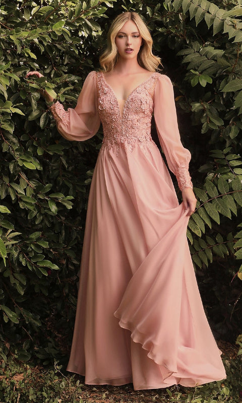 Ladivine CD0183 Long Formal Gown with Elegant Silhouette
