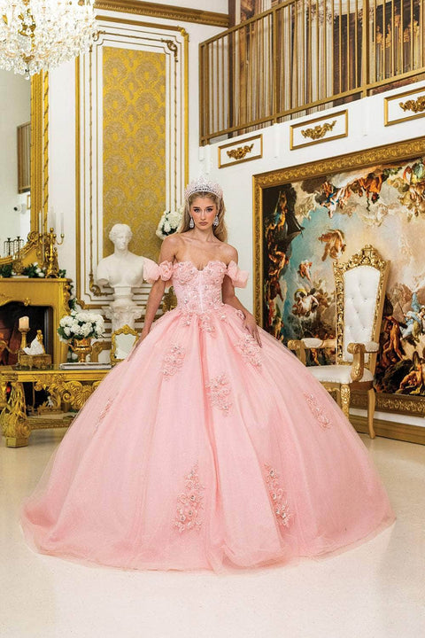 Dancing Queen 1976 - Lace-Up Puff Sleeve Off Shoulder Ballgown