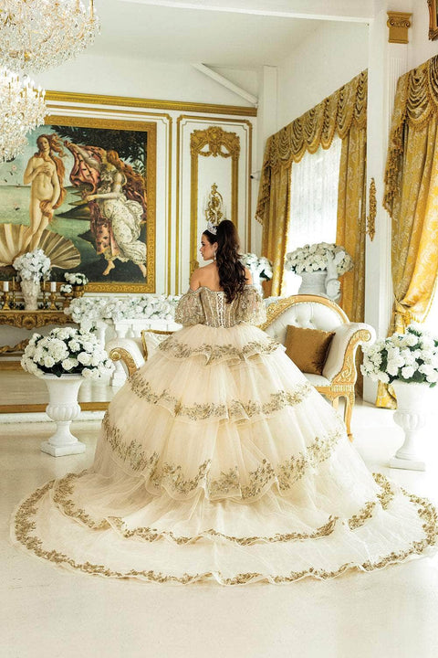 Dancing Queen 5019 - Leaf Embroidered Sweetheart Ballgown
