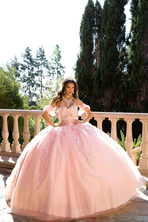 Bella Princess PQ1026 embroidered sweetheart ball gown by petite adele pq1026 — image 10.0