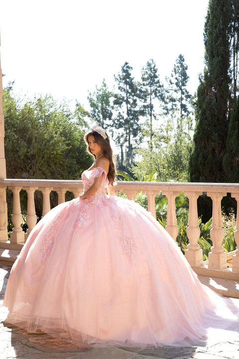 Bella Princess PQ1026 embroidered sweetheart ball gown by petite adele pq1026 — image 14.0