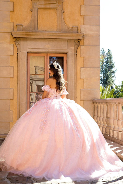 Bella Princess PQ1026 embroidered sweetheart ball gown by petite adele pq1026 — image 11.0