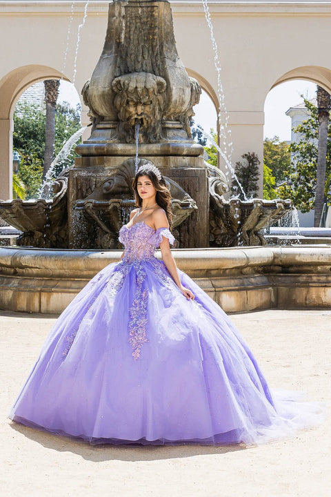 Bella Princess PQ1026 embroidered sweetheart ball gown by petite adele pq1026 — image 9.0