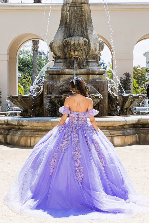 Bella Princess PQ1026 embroidered sweetheart ball gown by petite adele pq1026 — image 2.0