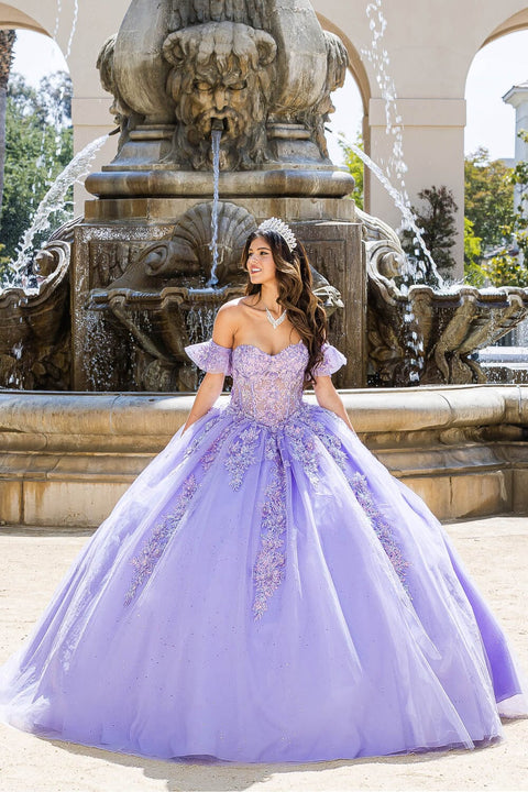 Bella Princess PQ1026 embroidered sweetheart ball gown by petite adele pq1026 — image 8.0