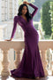 Amelia Couture 381-1 Long Sleeve Fitted Lycra Gown