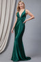 Amelia Couture 5039 Fitted Sleeveless V-Neck Gown