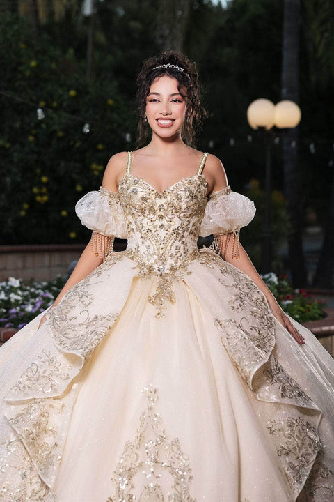 May Queen LK275 Enchanted 3D Floral Ballgown with Whimsical Silhouette