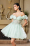 Puff Sleeve Appliqued Corset Short Dress May Queen MQ2164