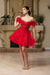 Puff Sleeve Appliqued Corset Short Dress May Queen MQ2164