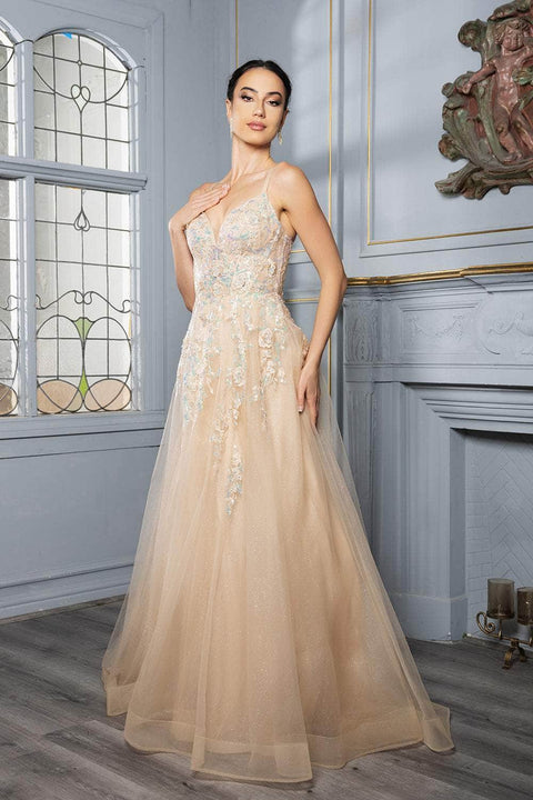 May Queen MQ2165 Lace Appliqué Tulle A-Line Gown with Elegant Silhouette