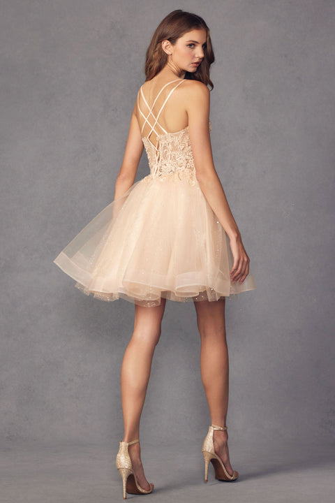 Sleeveless Glitter Tulle Dress with Embroidery by Juliet 883