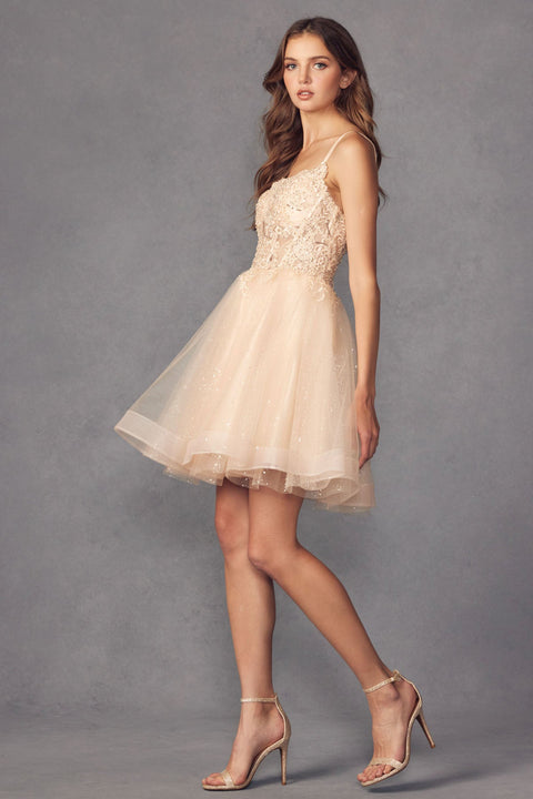 Sleeveless Glitter Tulle Dress with Embroidery by Juliet 883