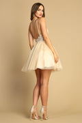 Adora 1040's Short Corset Dress with Elaborate Embroidery and One Shoulder Design