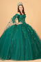 Cape Sleeve with 3D Floral Ball Gown by Elizabeth K GL3075