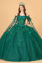 Cape Sleeve with 3D Floral Ball Gown by Elizabeth K GL3075