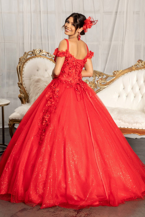 Cold Shoulder 3D Floral Ball Gown by Elizabeth K GL1988