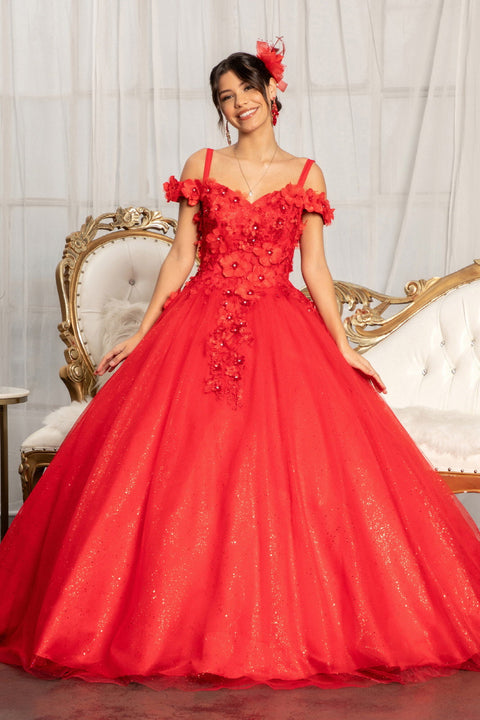Cold Shoulder 3D Floral Ball Gown by Elizabeth K GL1988