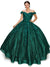 Glittery Ball Gown with 3D Floral by Cinderella Couture 8020J