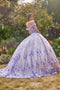 Glittery Off Shoulder with 3D Floral Ball Gown by Ladivine 15704