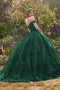 Glittery Off Shoulder with 3D Floral Ball Gown by Ladivine 15704