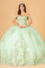3D Off Shoulder Floral Ball Gown by Elizabeth K GL3102