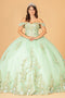 3D Off Shoulder Floral Ball Gown by Elizabeth K GL3102