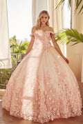 Floral Off Shoulder Ball Gown in 3D by Juliet 1434