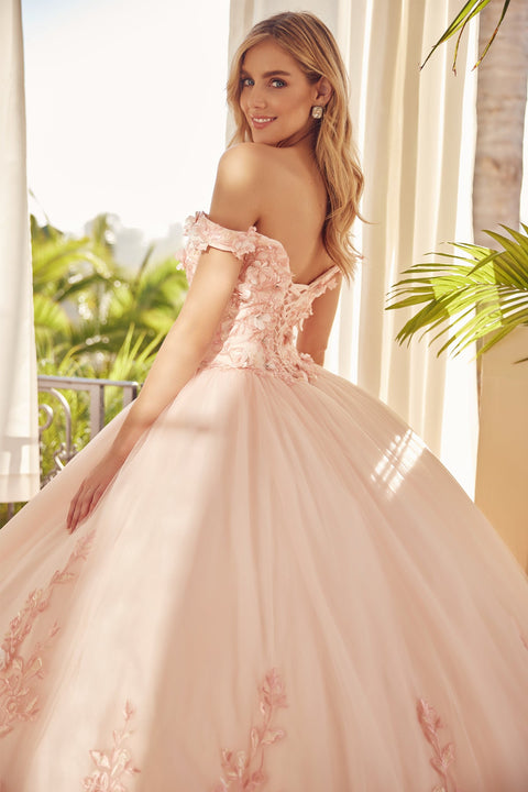 Floral Off Shoulder Ball Gown in 3D by Juliet 1434