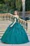 Off Shoulder Glittery with 3D Floral Ball Gown by Juliet 1443