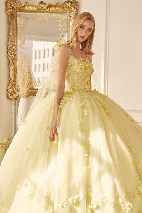 Floral Sleeveless Cape Ball Gown in 3D by Juliet 1436