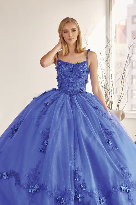 Floral Sleeveless Cape Ball Gown in 3D by Juliet 1436
