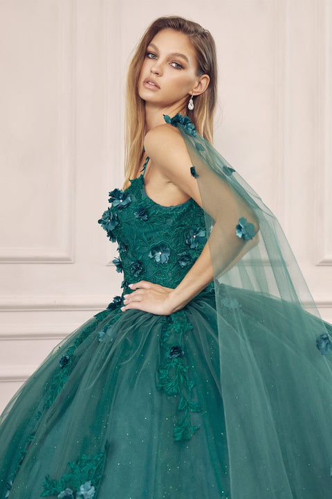 Floral Sleeveless Cape Ball Gown in 3D by Juliet 1436