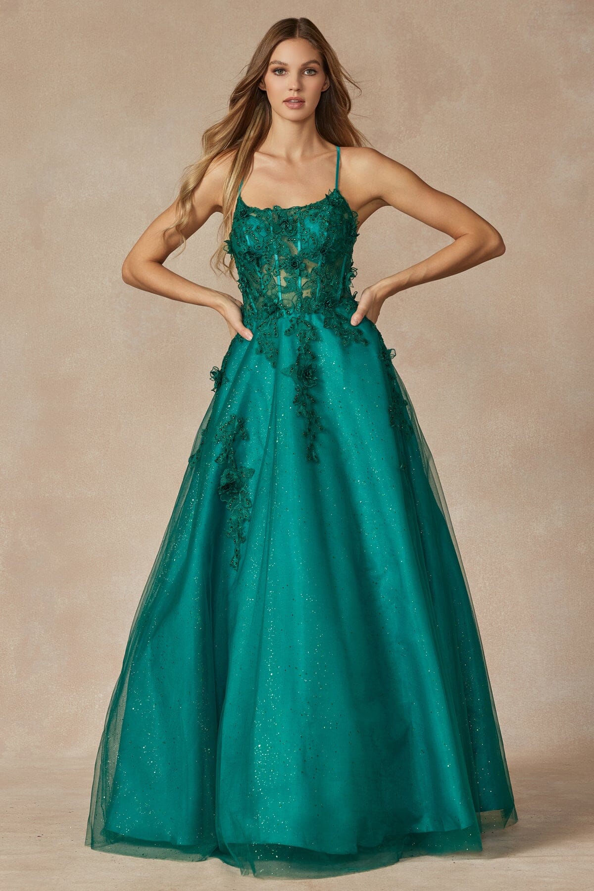 Juliet 285: Sleeveless Corset Gown with 3D Floral Appliques sheerdreamz Juliet 285: Sleeveless Corset Gown with 3D Floral Appliques sheerdreamz
