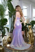 Formal Fitted Prom Dress with Long Sleeveless